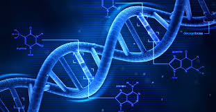 bio10