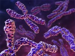 bio11