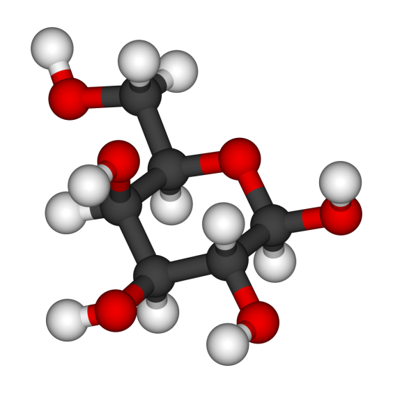 bio5