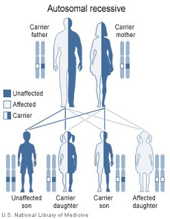 oqueegalactosemia2
